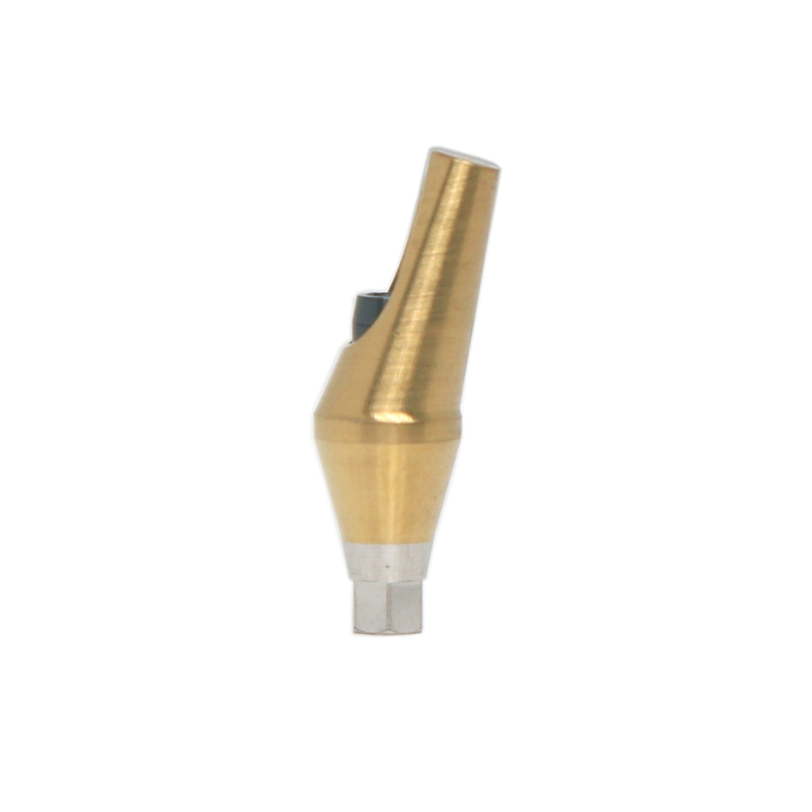 Dental 17° Angled Abutment Anatomic Fits Hiossen Osstem TS Hex Mini Platform