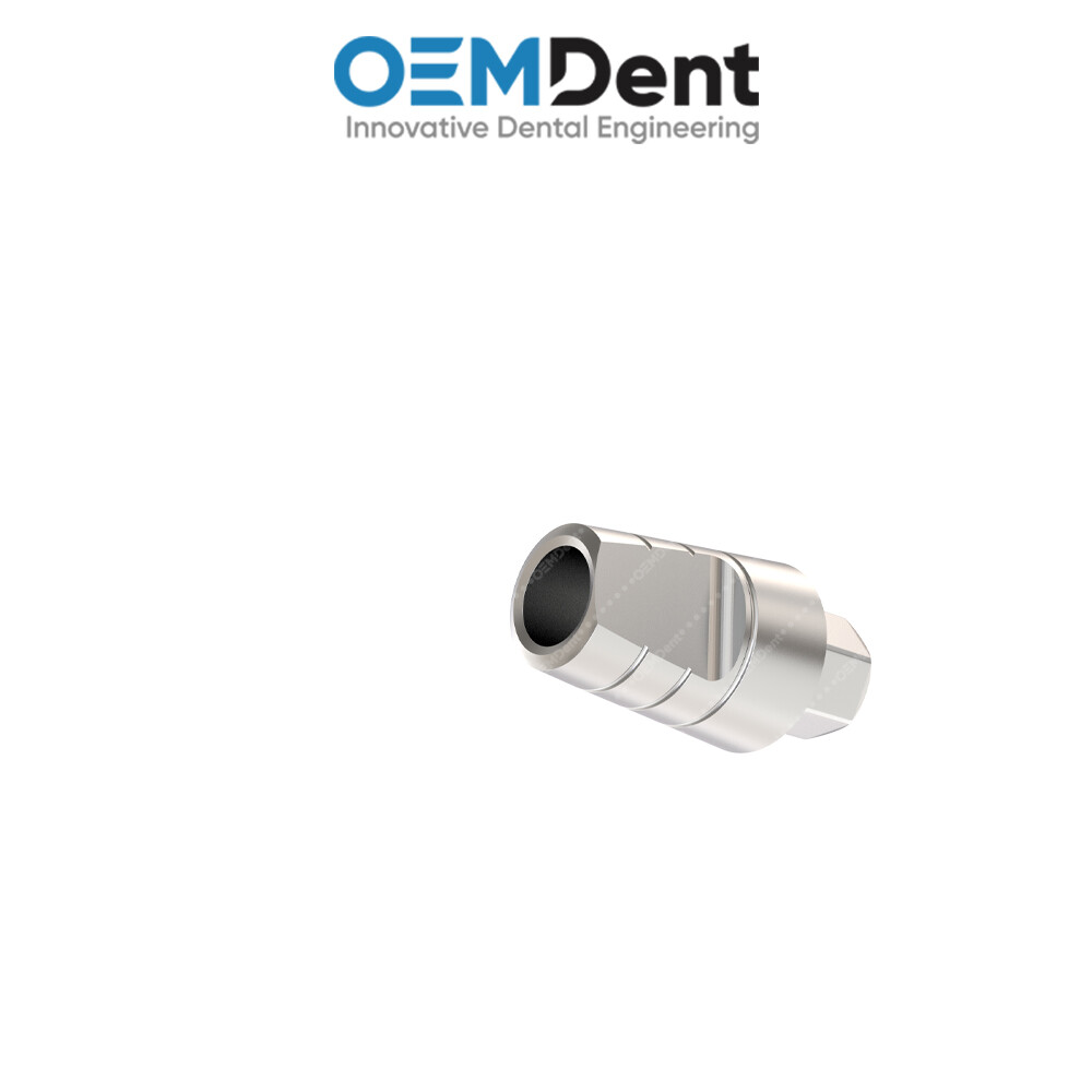 Straight Prosthetic Narrow Platform – Paltop® Int Hex 2.42mm Compatible