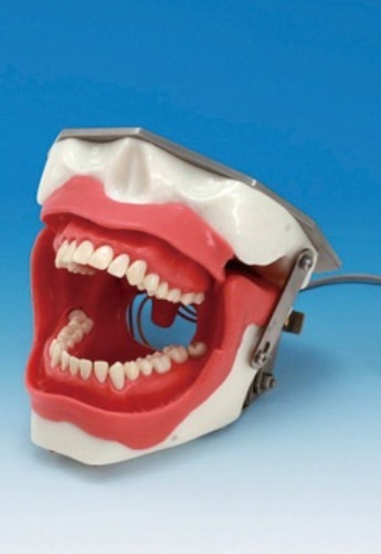 Dental X-Ray Mouth Close Mechanism For X-Ray Model