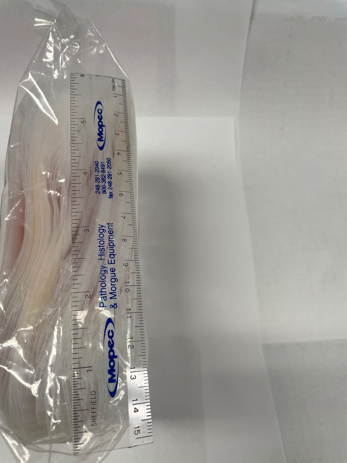 Bag of 100, 4” x 4” Specimen Transport Bags 2mil Wall
