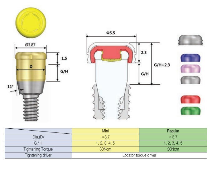 Locator Overdenture Abutment Fit Hiossen ET MINI/Regular Zest Classic Male Cap