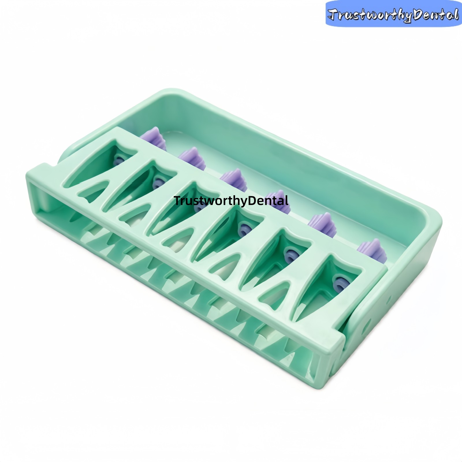 Dental 6 Holes Root Canal File Counting Disinfection Rack Measuring Rack Plastic
