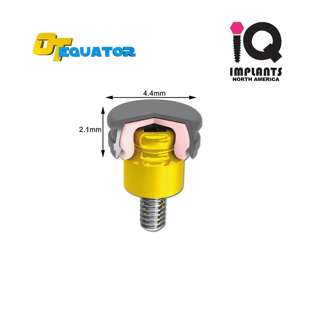 IQ-Rhein EQUATOR OD Secure Genuine Laboratory Processing Caps, Black (4-Pack)