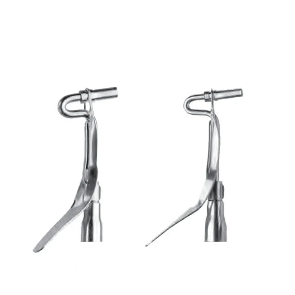 GDC Dental Amalgam Carrier Double Ended Mini Regular (AC5201)