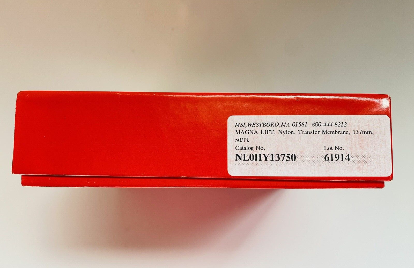 MSI Magna Lift Nylon Transfer Membranes, 137mm, 0.45μm, NL0HY13750 50/pk