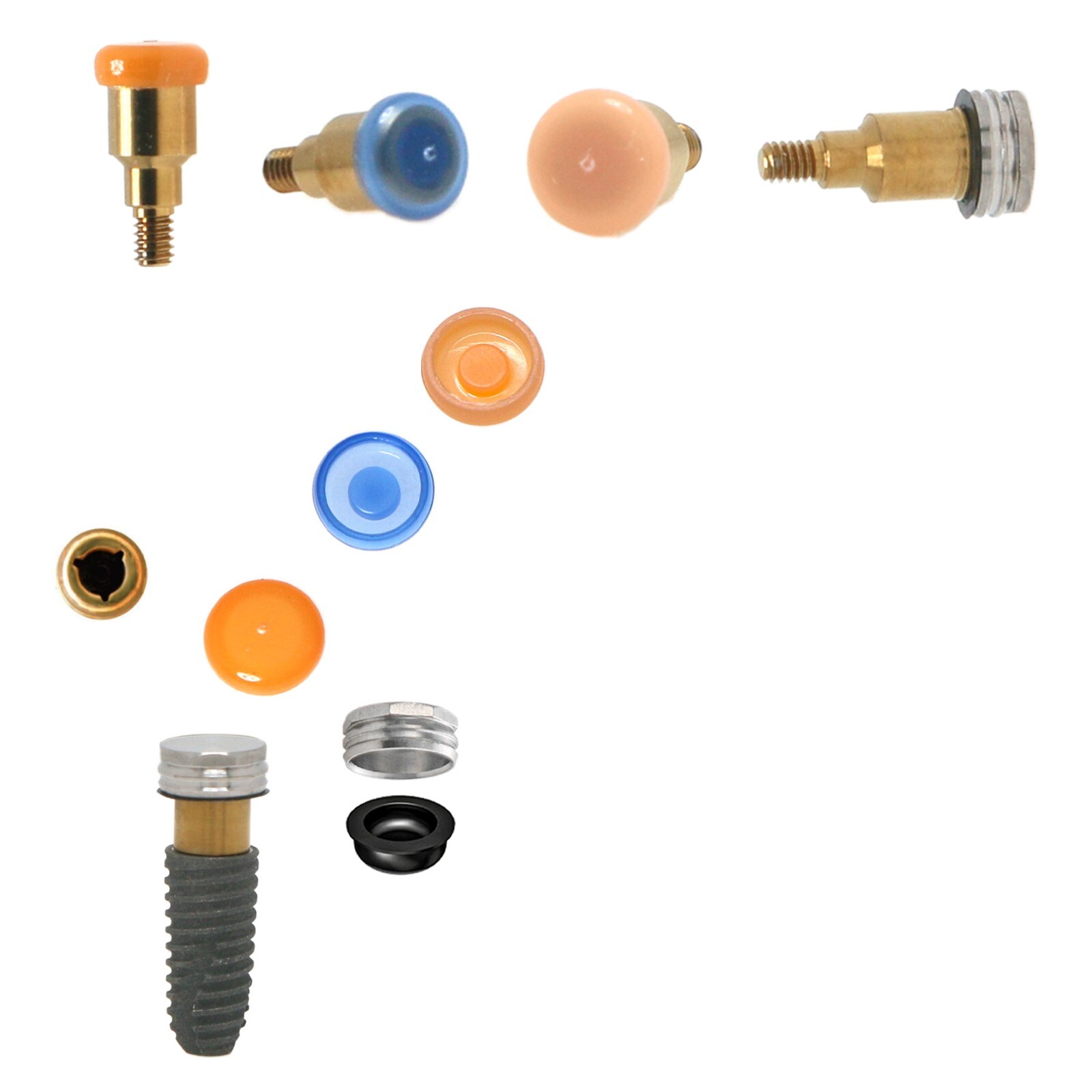 Hiossen Mini/Regular Hex Implants Locator/Healing Abutments Lab Analog Scan Body
