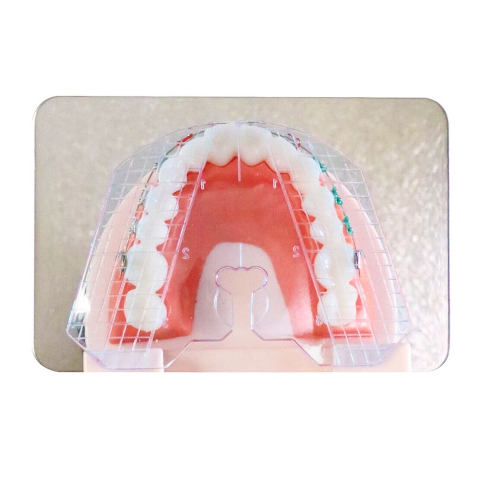 Dental Guide Template Plate Complete Denture False Teeth Arrangement 135℃