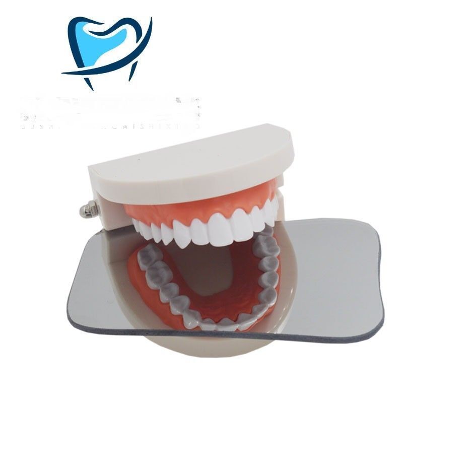 1Set/5p Dental Mirror Orthodontic Photo Intra Oral Mouth Glass Mirror Reflector