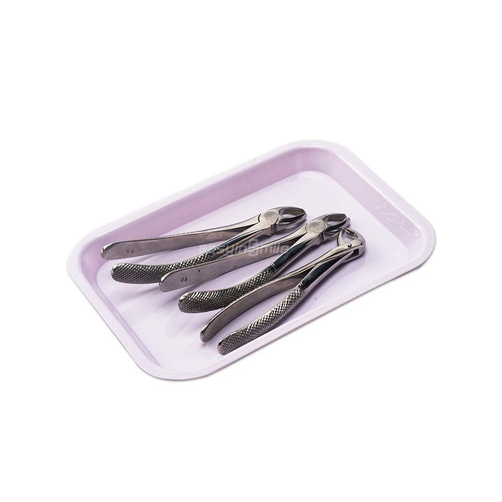Dental Flat Instrument Set-Up Tray Size F Mini Autoclavable F Purple