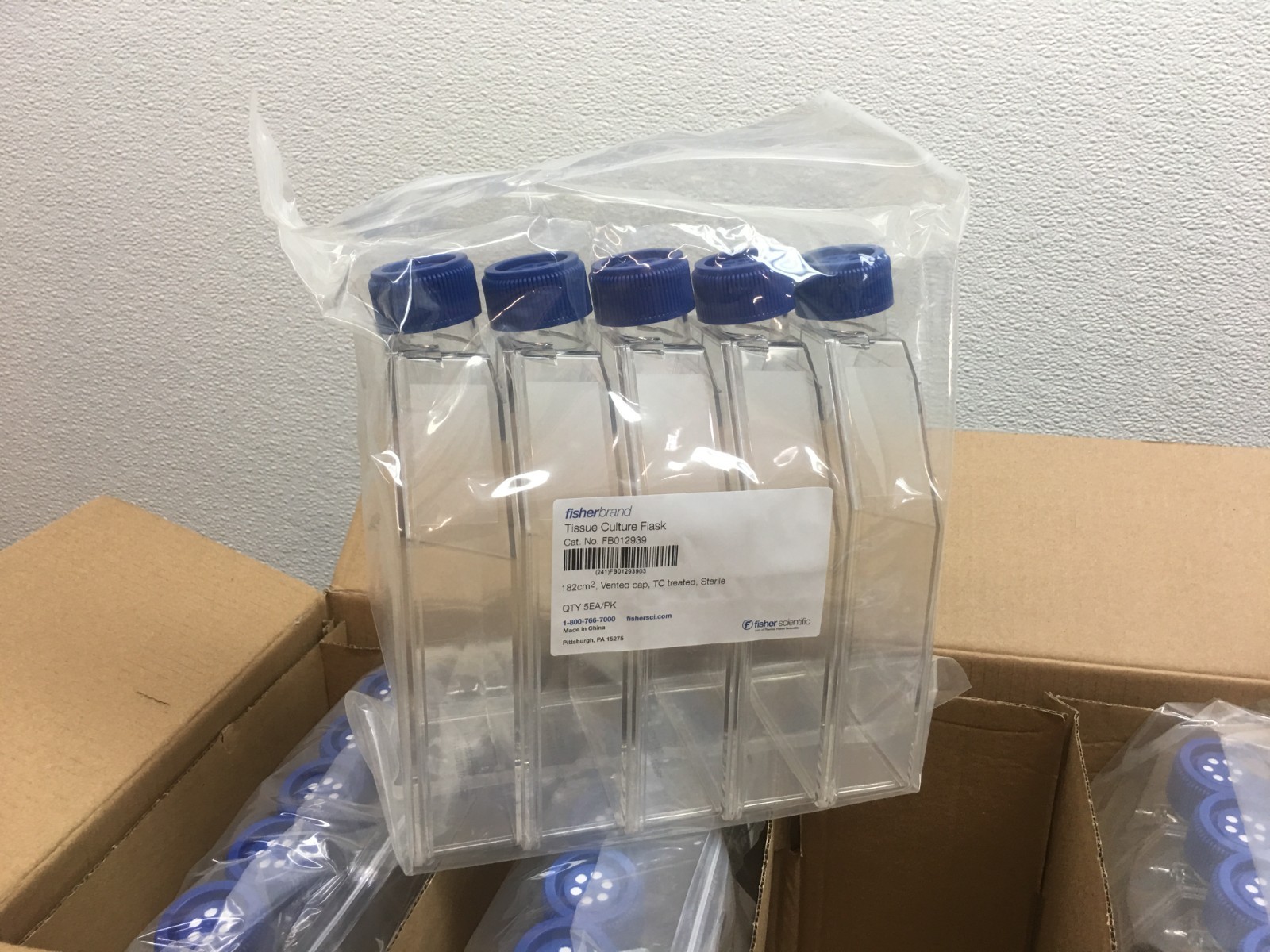 FisherBrand Cat No FB012939 Tissue Culture Flask 182cm2 Vented Cap