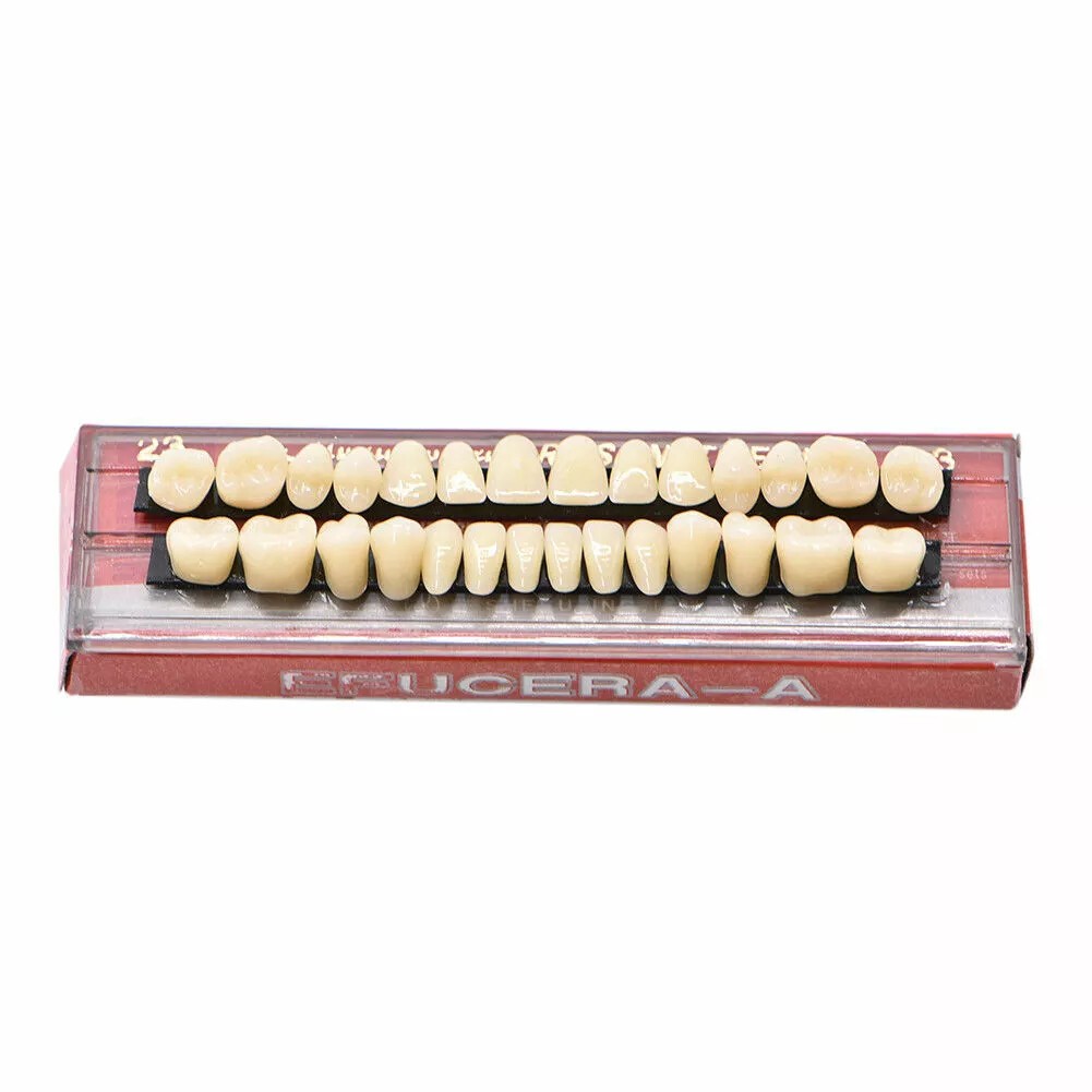 56 Pcs (A2+A3) False Teeth Dental Complete Acrylic Resin Denture Teeth #23 Shade