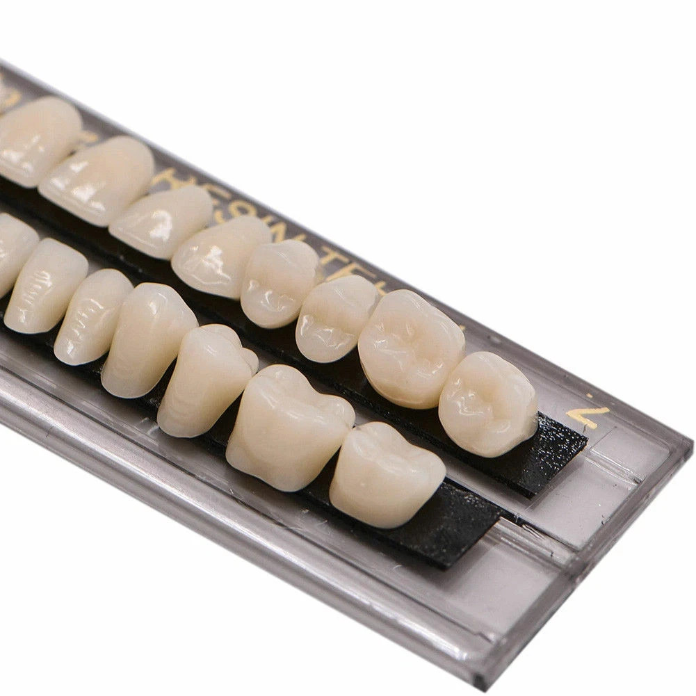 28 Pcs/Set Dental A2 A3 Acrylic Resin Denture Shade Full Set False Teeth #23