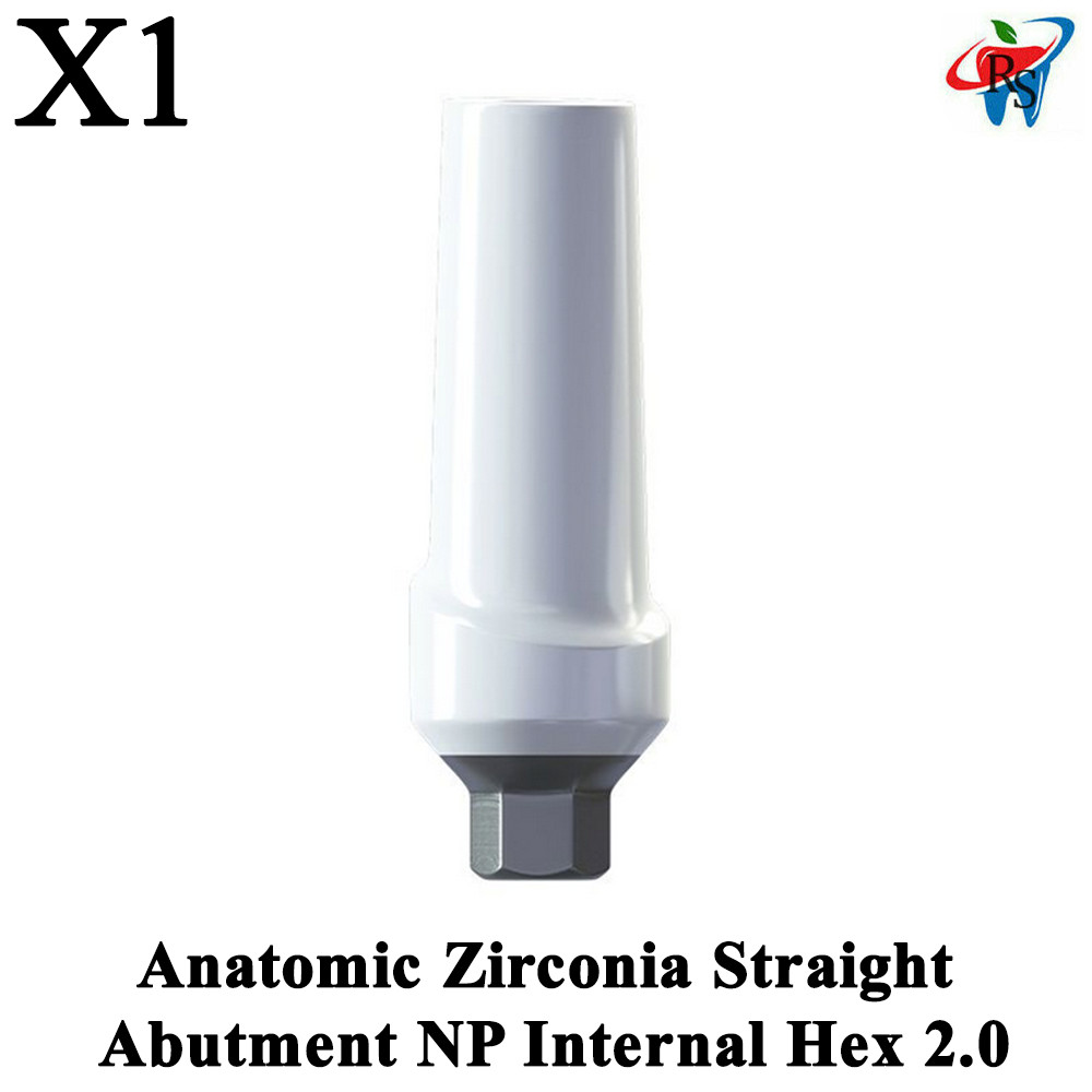 1pcs Dental Prosthetic Anatomic Zirconia Straight Abutment NP Internal Hex 2.0