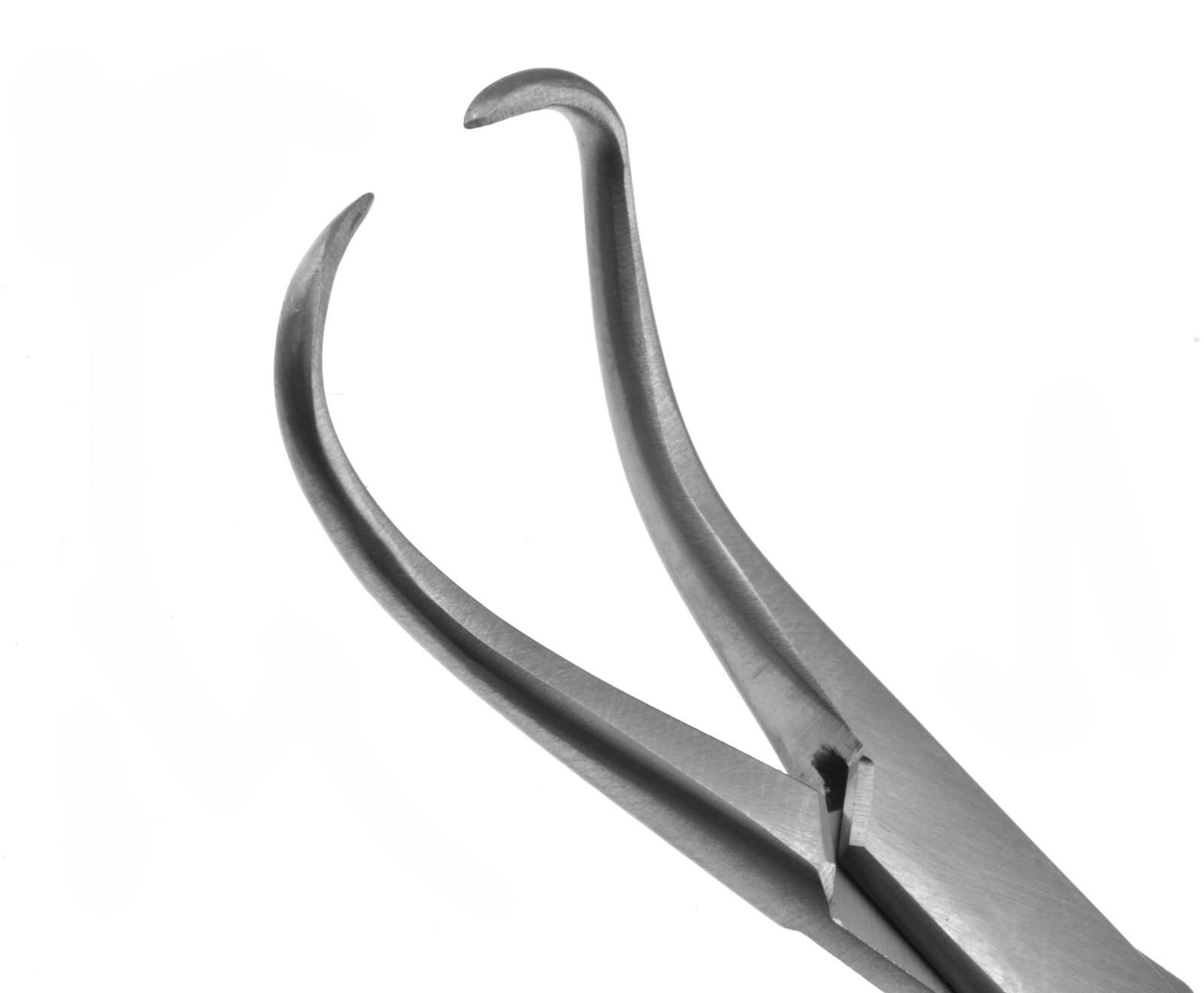 Pulpdent Towel Clamp Forceps, 5 1/4”, Ring Handle (Dental, Medical)