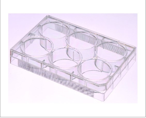 New VWR 10062-892 50/Case 6-Well Sterile Treated Tissue Culture Plate 161B