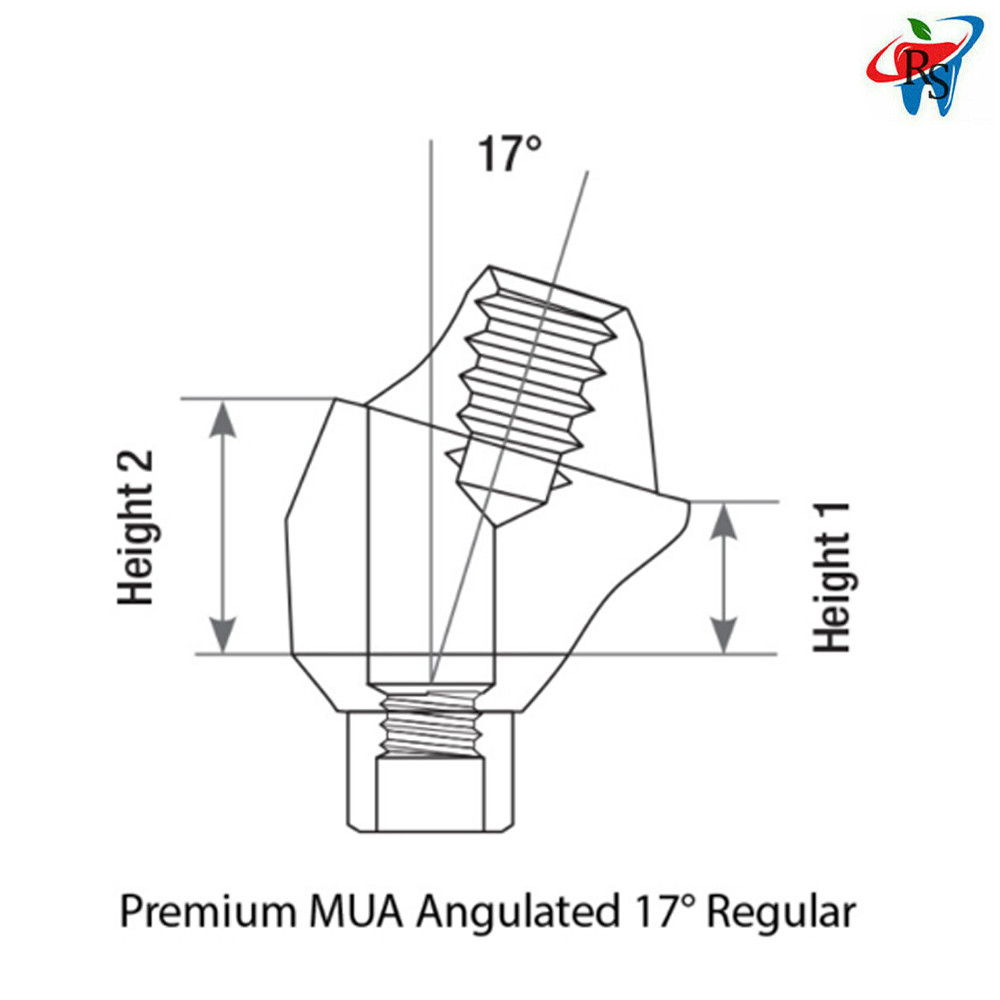 10pcs Prosthetic Angulated 17° Multi-Unit 1.6 Int Hex 2.42 Connection Dental Lab