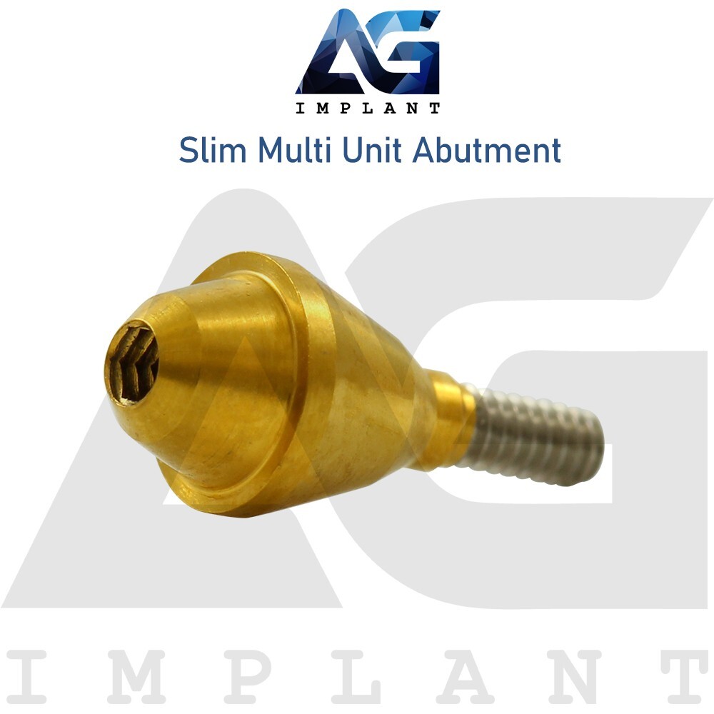 10 Slim Platform Straight Multi Unit 1.6 Prosthetic Titanium Set Internal Hex
