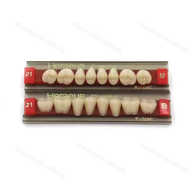 3 Layer Synthetic Resin Teeth Kit 3 Sets Box for Denture Making