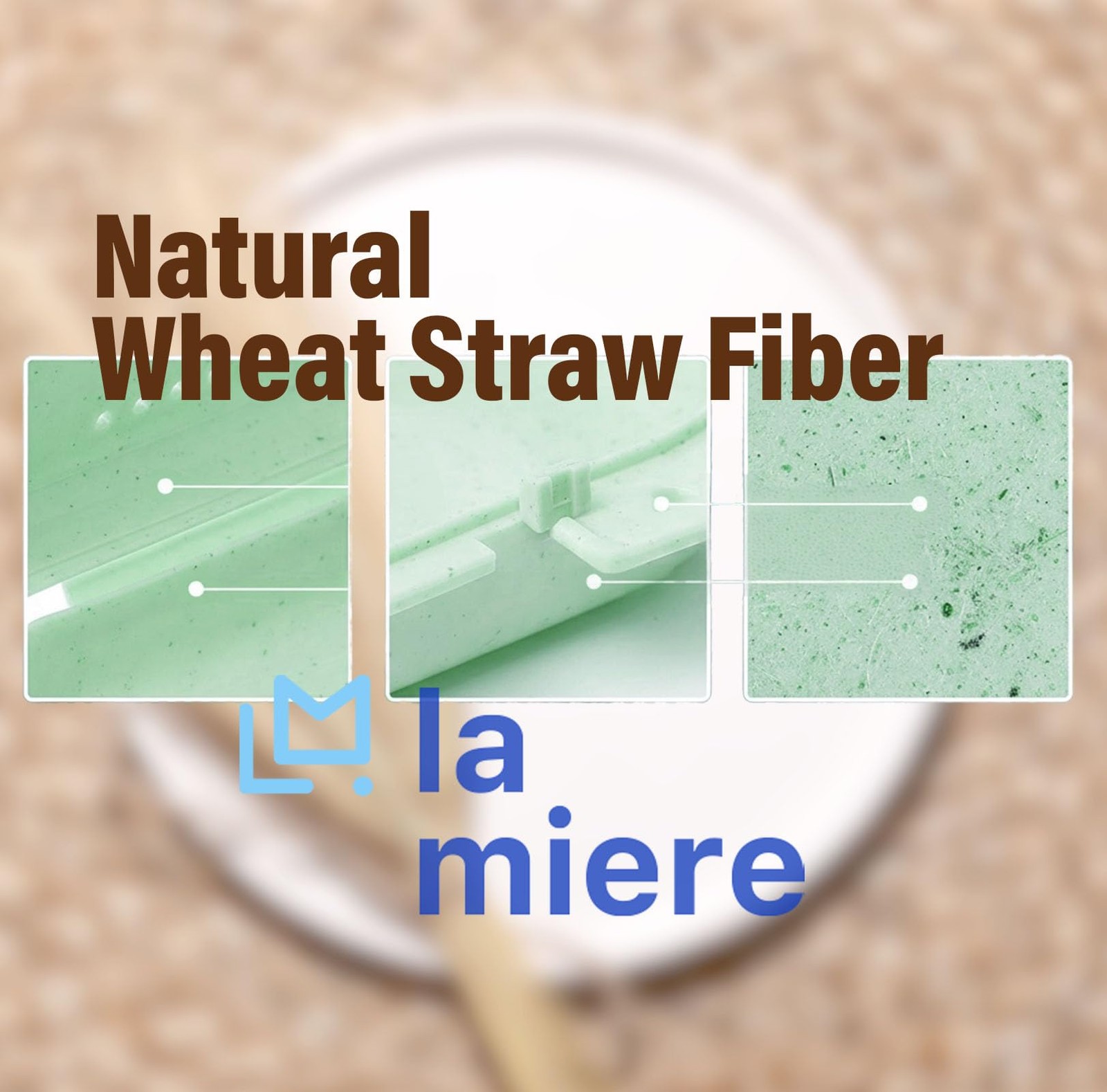 LA MIERE Retainer Case Wheat Straw Denture Case, Standard, Celery Green