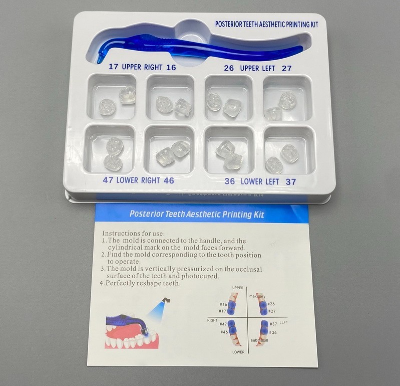 Dental Veneer Mould Composite Resin Anterior Posterior Teeth Molar Restoration