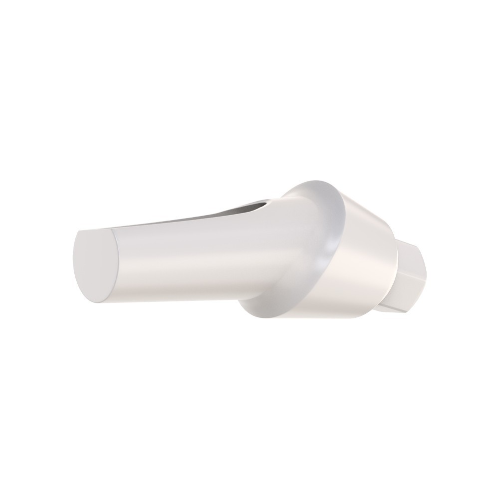 5pcs DSl Angulated Abutments Anatomic Peek With Screws 15° Internal Hex