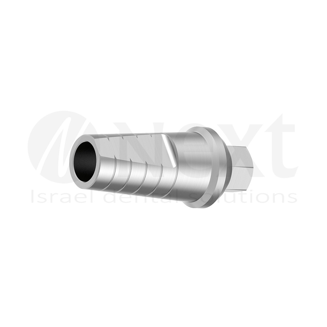 Lot x 10 Straight Titanium Abutment hex 2.42 shoulder screw 1 mm