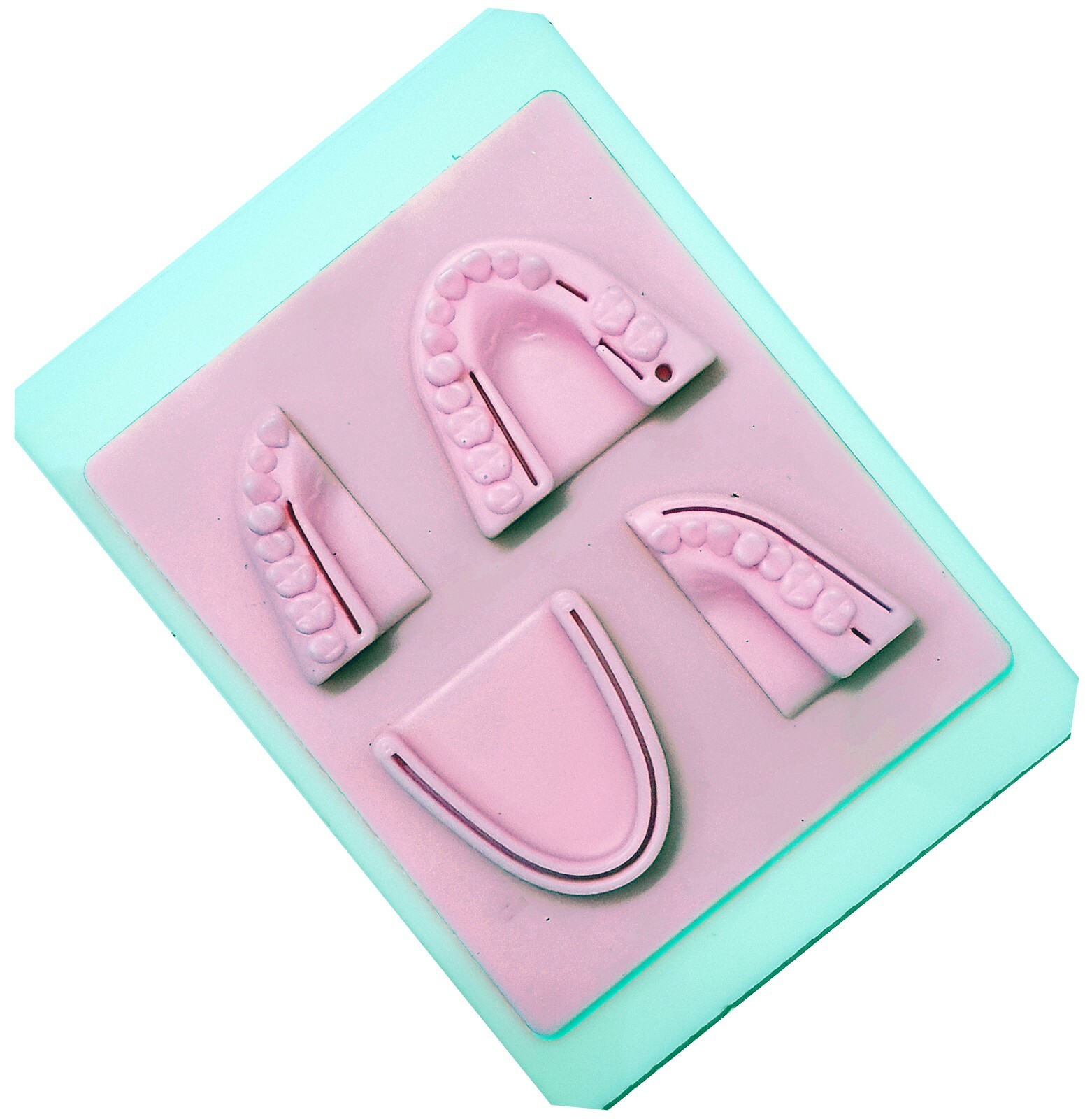 Premium Dental Silicon Suture Training Pad W/ Tray Suture Pad Regular Wounds Set