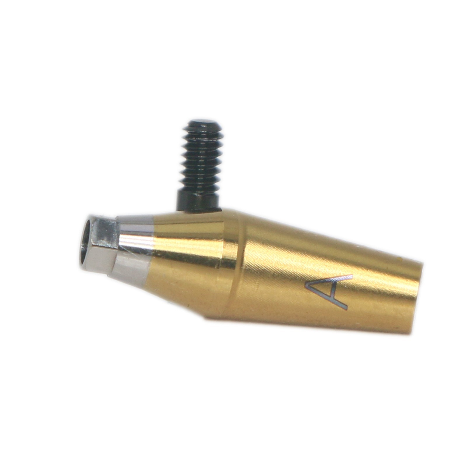 Dental 17° Angled Abutment Anatomic Fits Hiossen Osstem TS Hex Regular Platform