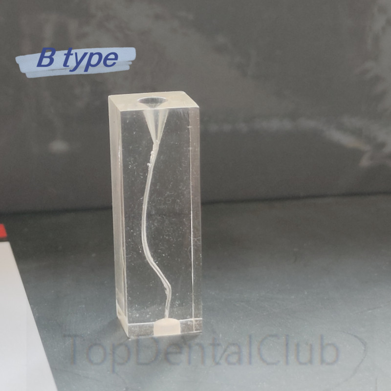 5Pcs Dental Endodontic Root Canal Teaching Study Model Transparent Block