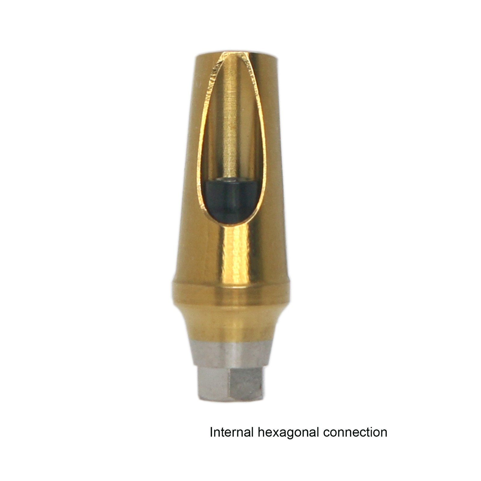 Hiossen ET Dental Angulated 17º Abutment Cement/combination retained prosthesis