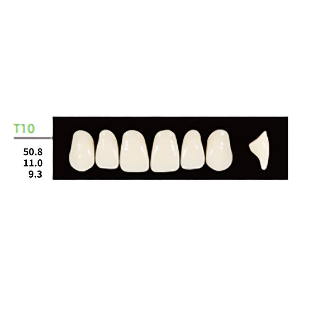 Dental Synthetic Polymer Resin False Teeth Square Anteriors Upper T10 A3.5