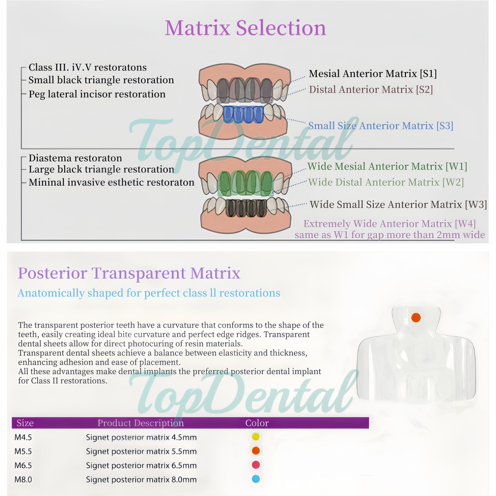 USA Clear Matrix Dental Anterior Posterior Transparent BT Matrices Fits BioClear