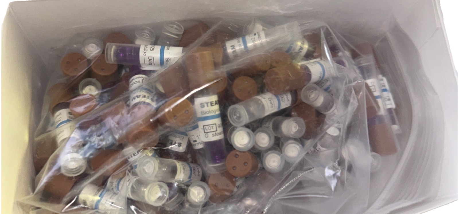 SciCan Ensure Biological Indicators 100/Box (Exp 2025-11-30)