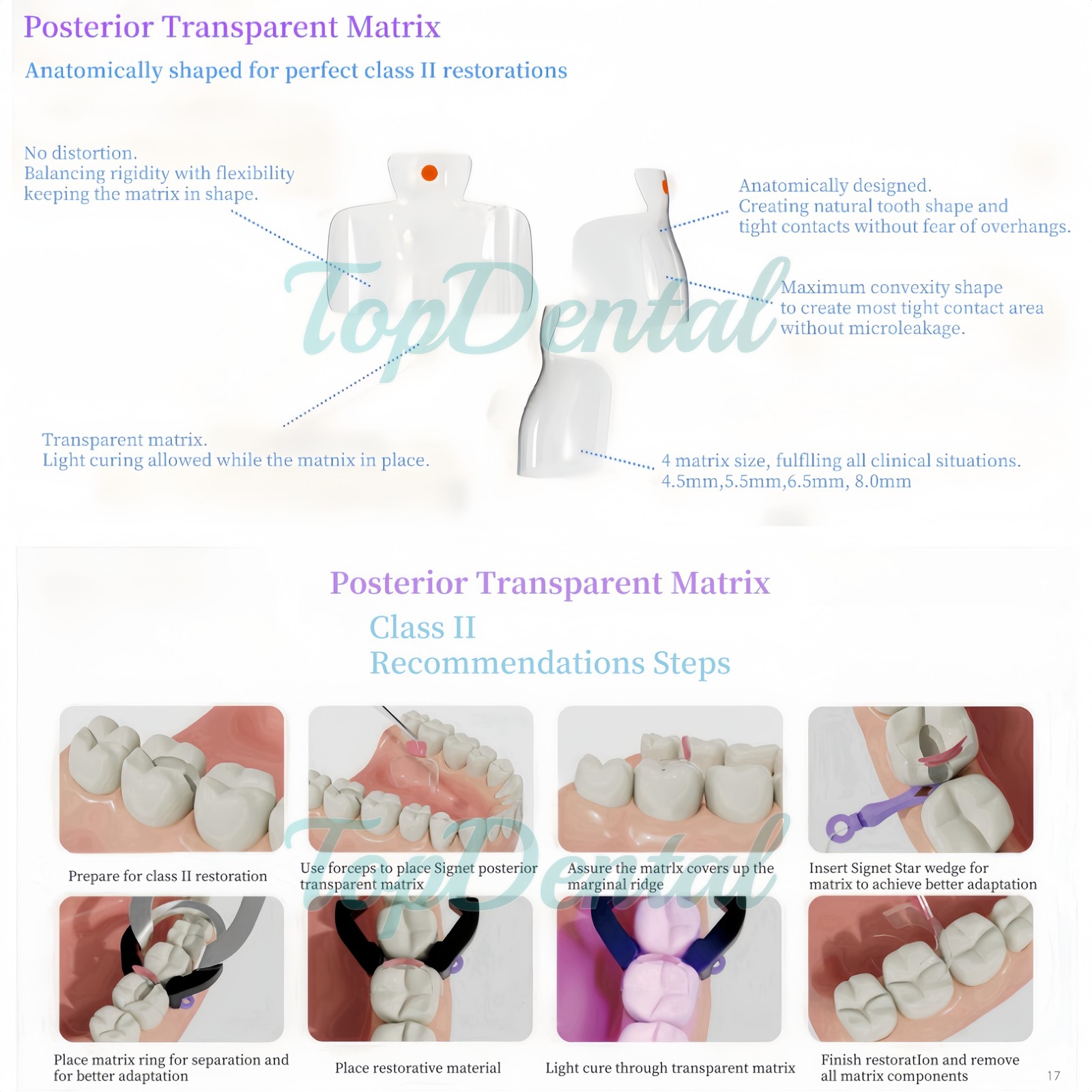 USA Clear Matrix Dental Anterior Posterior Transparent BT Matrices Fits BioClear