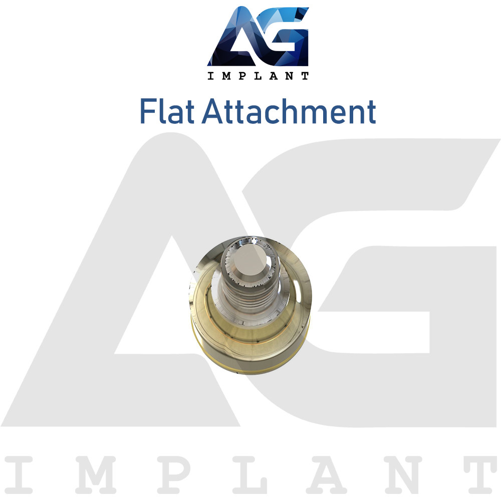 20 Flat Attachment Titanium Overdenture Dental Int Hex Connection 2.42mm