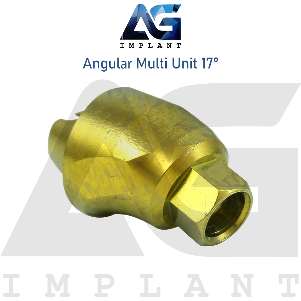 10 Angular Multi Unit 1.6 Prosthetic System 17° Internal Hex With Screw