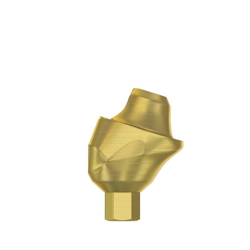 CAD/CAM Set Angulated 17° Multi Unit Abutment Int Hex 2.0 PEEK Scan Body Ti Base