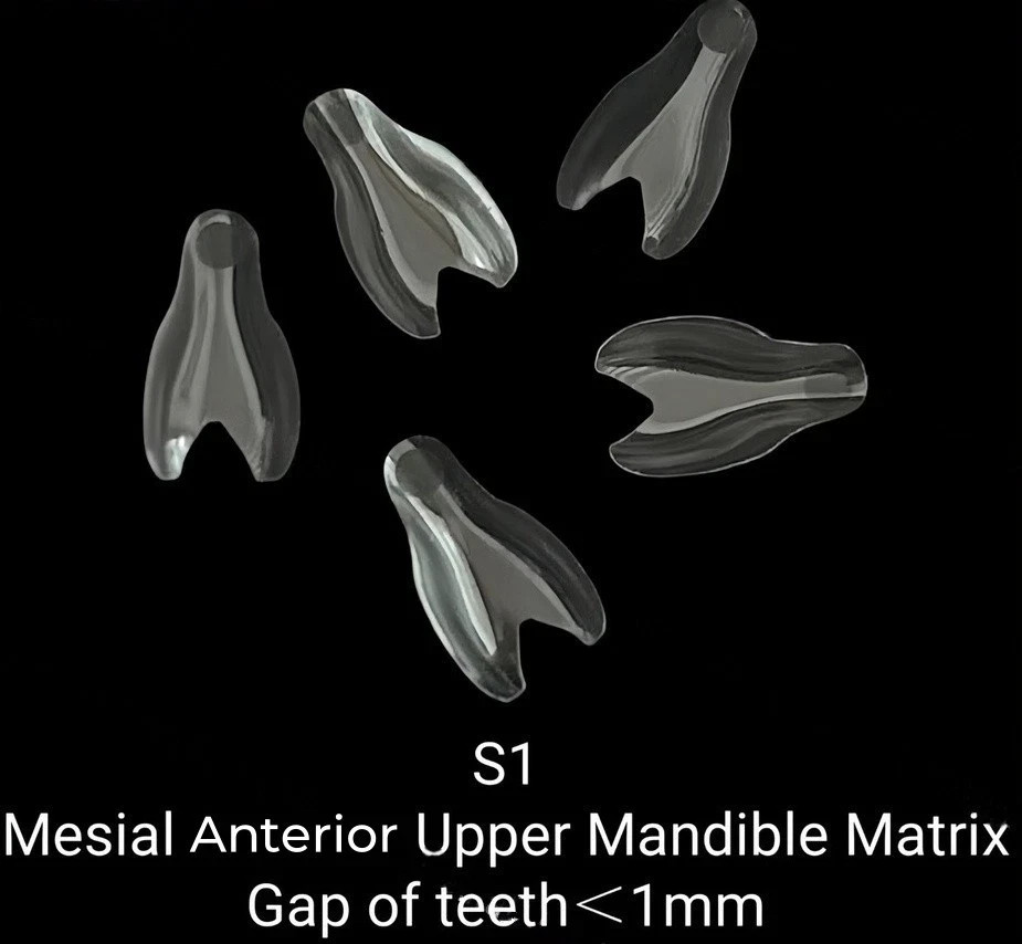 Dental Transparent BT Matrices Clear Matrix Anterior Posterior Fit BioClear