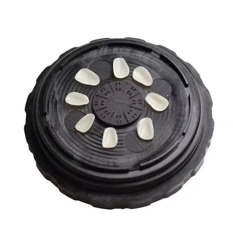 Dental Veneer Storage Box Denture Case Ceramic Veneers Pretreatment Patch Holder