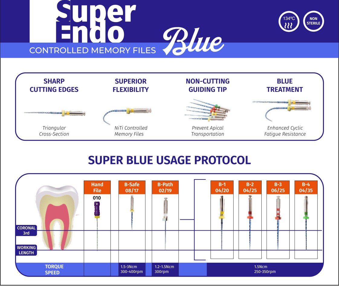 SuperEndo Blue Files 21mm Assorted (Pack of 6)