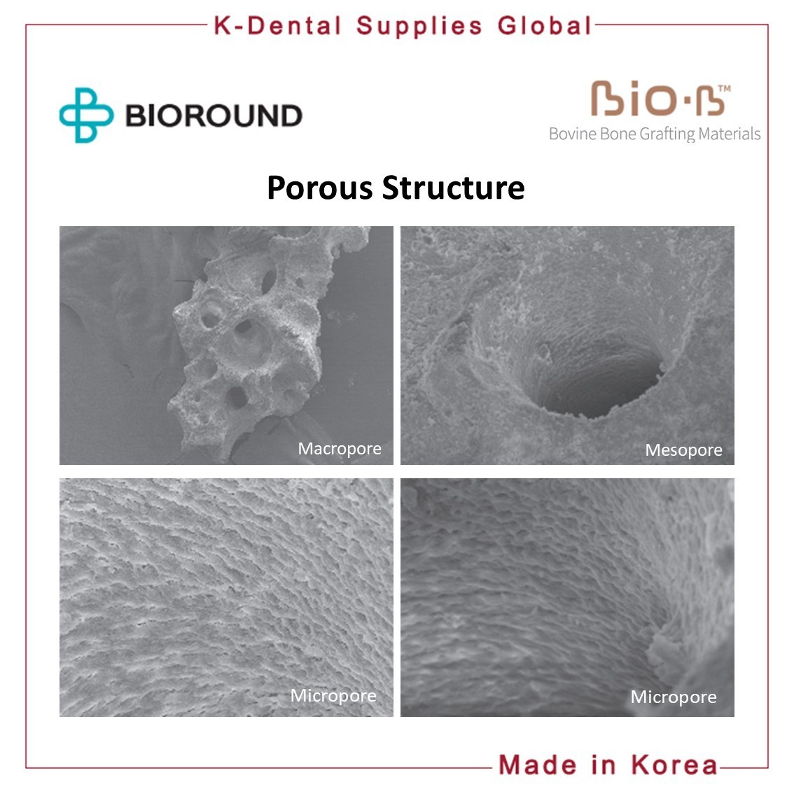 BIO-B Bovine Bone Grafting Material Vial Small/Large Particle Size Weight 5 type