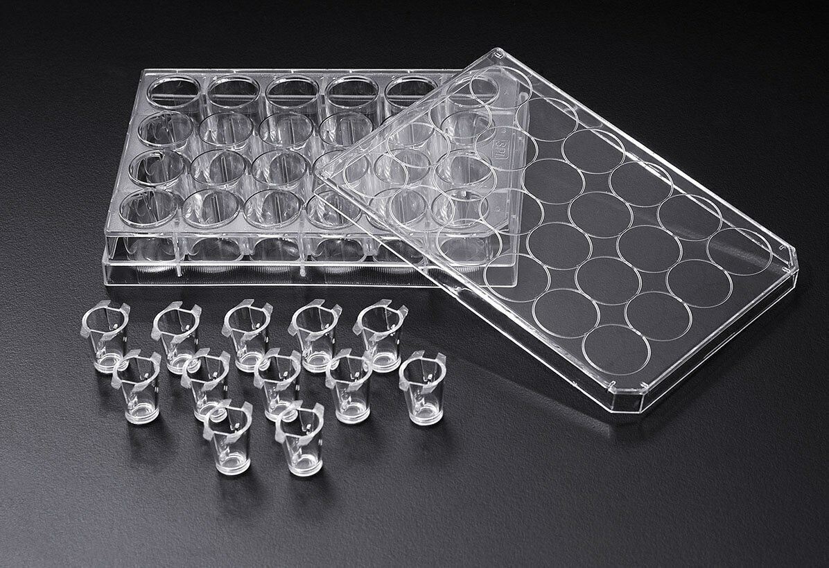 SPL Inserts Hanging PET membrane, 8.00 µm pore, Translucent D 6.5mm, Sterile