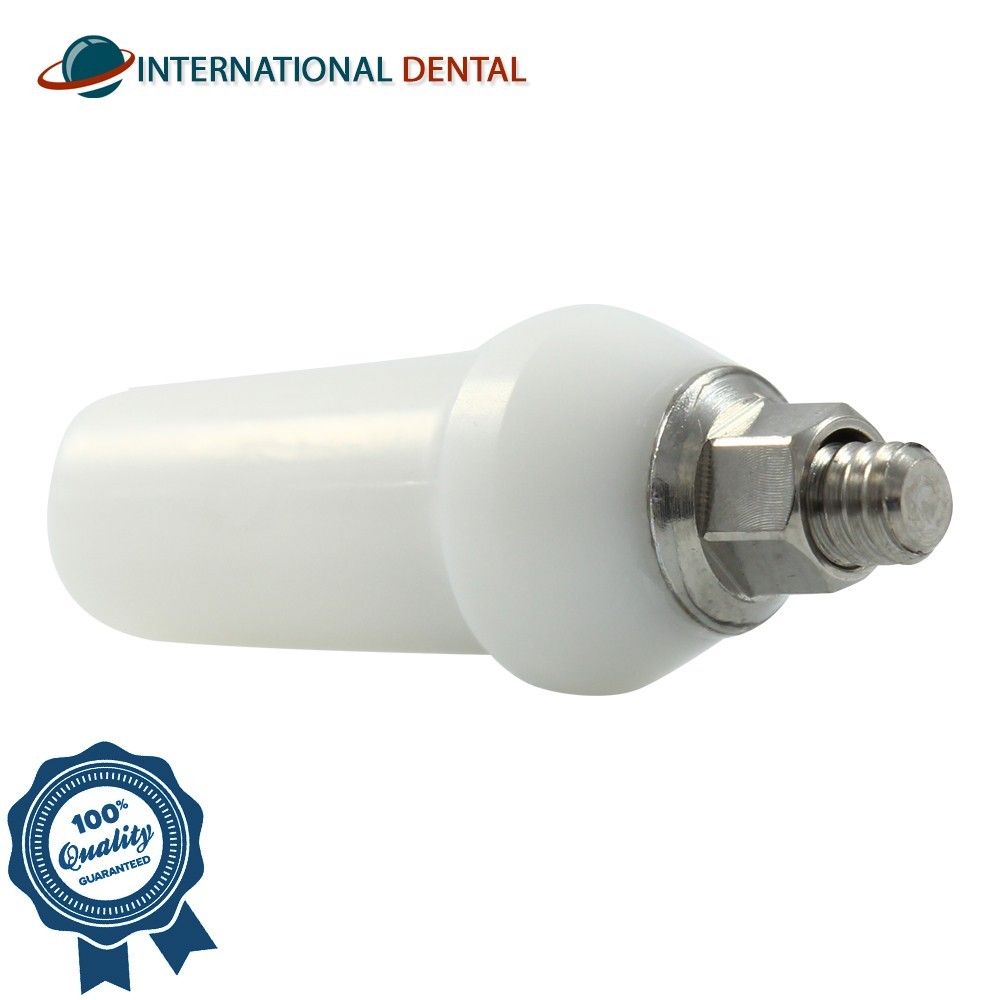 Zirconia Anatomic Straight Titanium Base Prosthetic Dental Fixture Int Hex