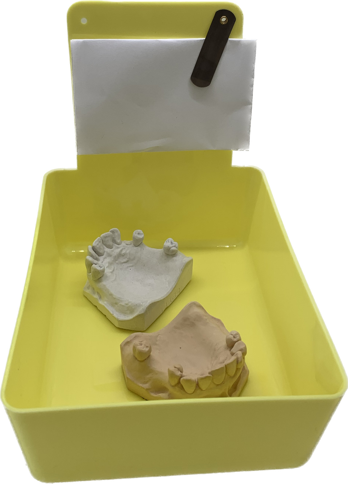 Dental Lab Pan Yellow 12/box High Quality Color Coded organization