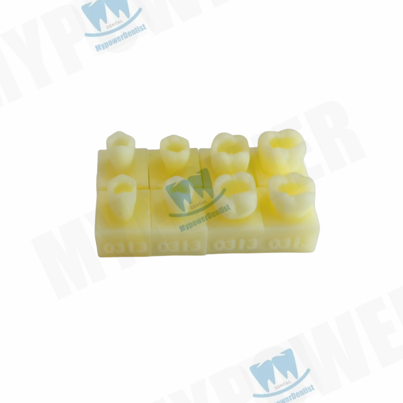 Dental Cavity Preparation/Vitro Decay Caries Model/Composite Resin Filling Model