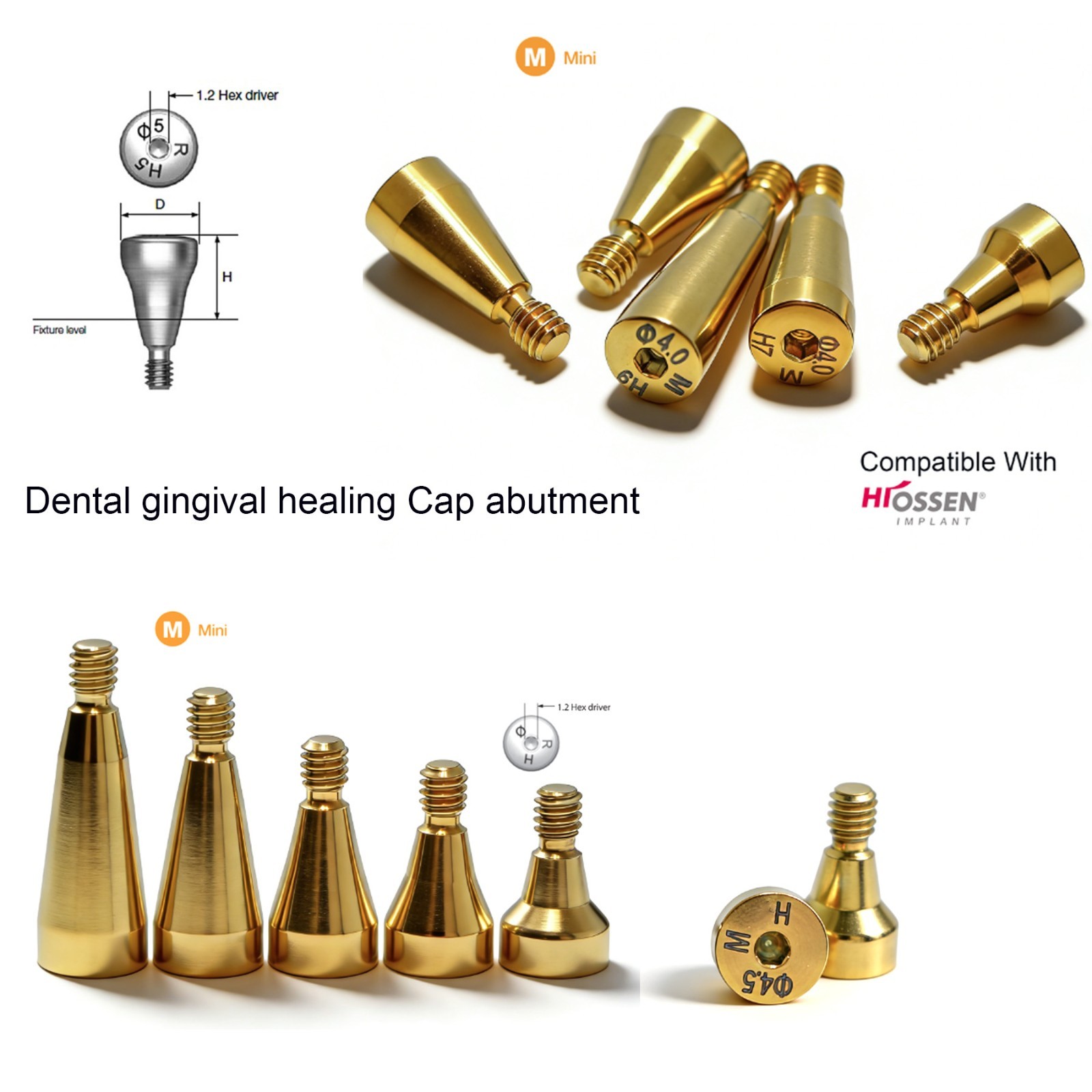Dental ET/TS System Ø4.0 Ø4.5 Mini Healing Abutment/Cover Screw For Hiossen Oss