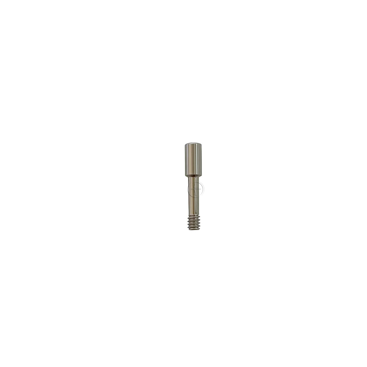 10-100Pcs Dental titanium abutment Screws compatible with Roott platform Regular