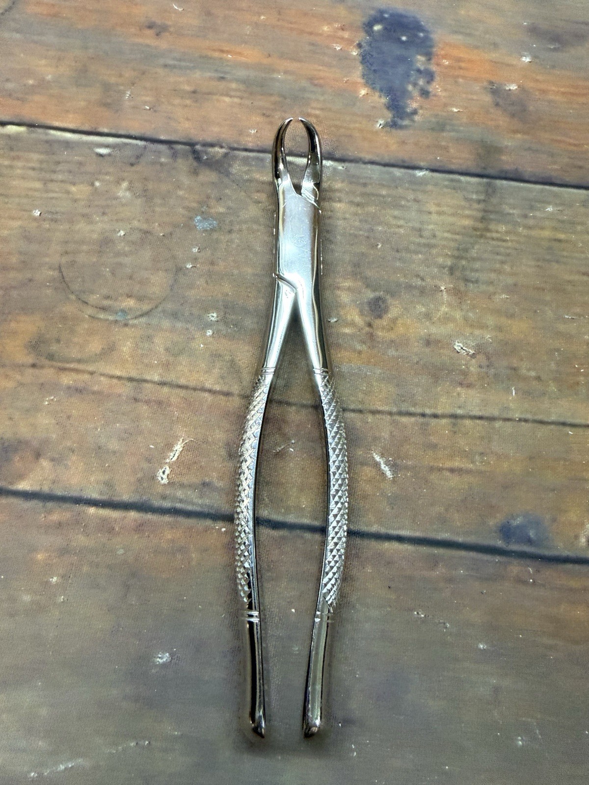 Henry Schein Cowhorn Forceps – #23