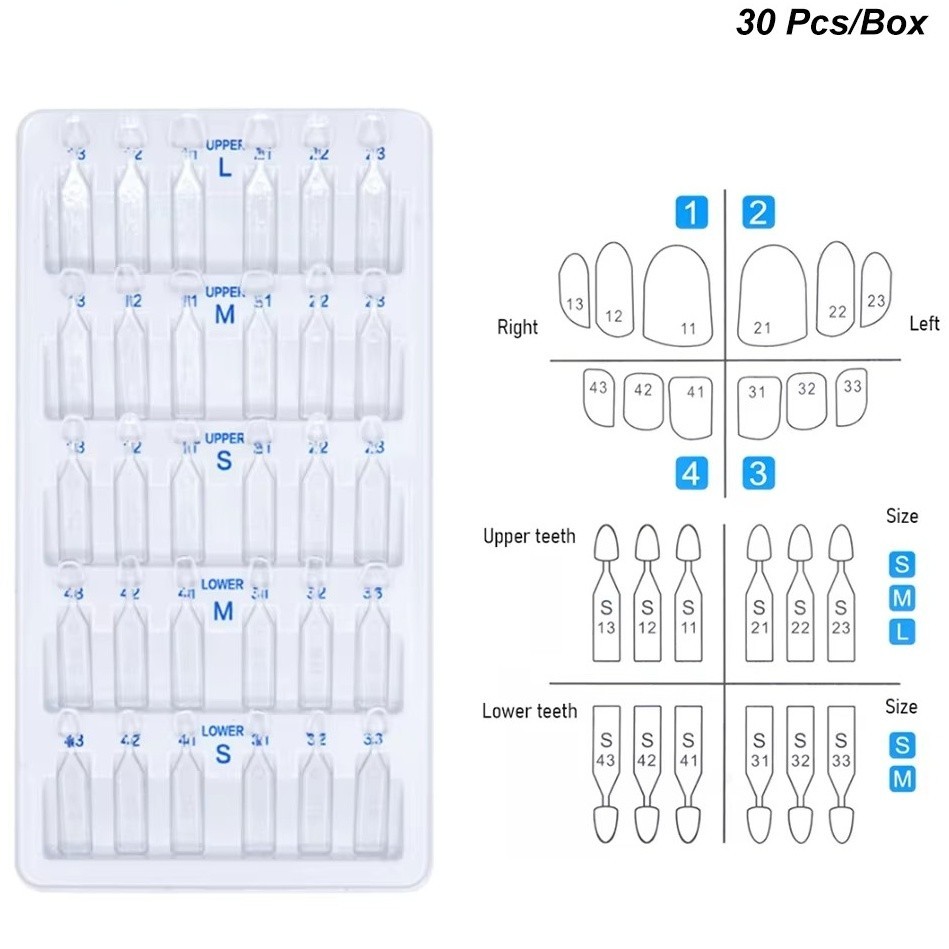 Dental Veneer Mould Composite Resin Anterior Posterior Teeth Molar Restoration
