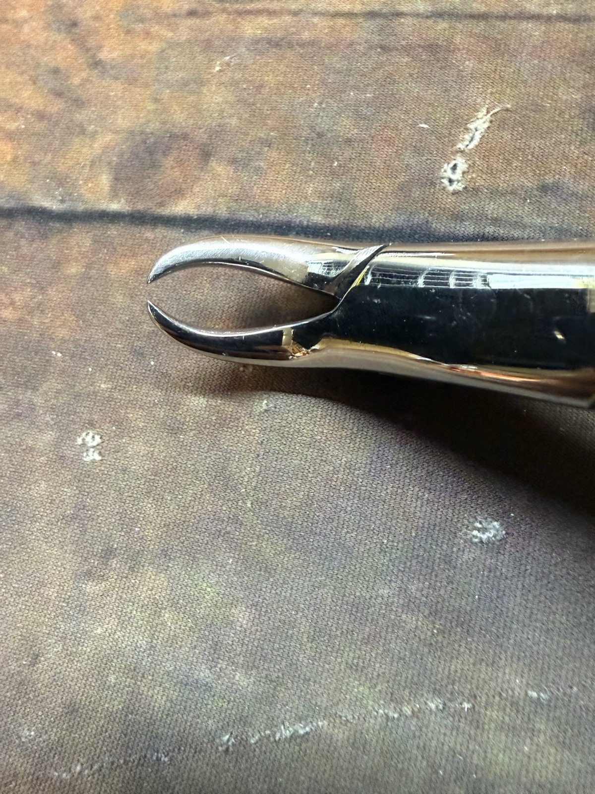 Henry Schein Cowhorn Forceps – #23